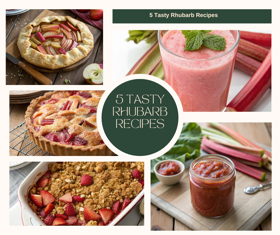 An assortment of vibrant Rhubarb Recipes displayed together, showcasing the diversity of dishes featuring rhubarb.